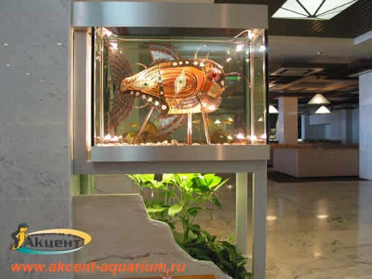 Акцент-Аквариум, аквариум с сухой камерой для скульптуры